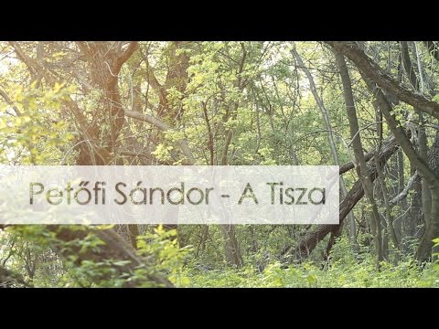 Petőfi Sándor - A Tisza