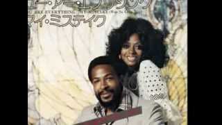 Diana Ross Marvin Gaye &quot;You&#39;re A Special Part Of Me&quot; My Extended Version!