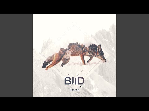 Home (feat. Anton Davidyants)