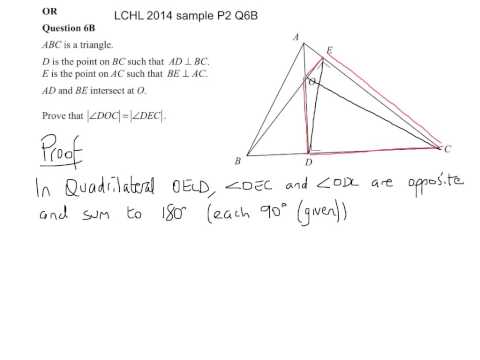 LCHL 2014 sample P2 Q6B