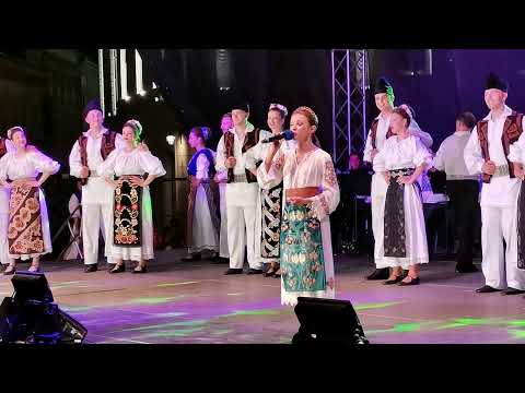 Ansamblul Timisul - Andreea Voica si Deian Galetin - Dansatori care au dat TOT - Video CB in mers