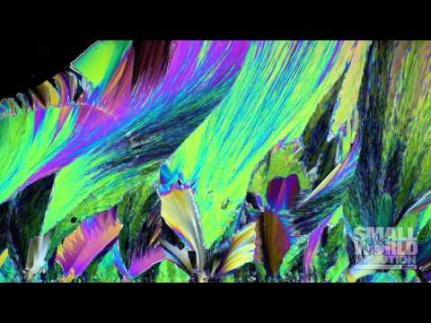 Paracetamol Crystal Growth | 2016 Nikon Small World