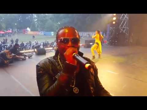 Prestation de Maitre Oxygene Fan Zone EURO 2016