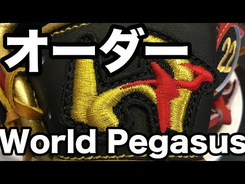 軟式オーダー World Pegasus "Grand Pegasus" Custom Glove #1726 Video