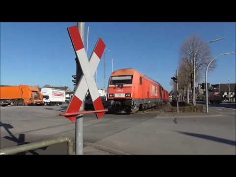 Sichtungen am 01.04.2019