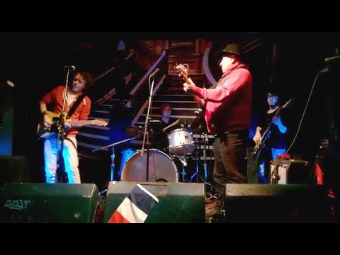 Big Joe Stolle and The Not Really Blues Band