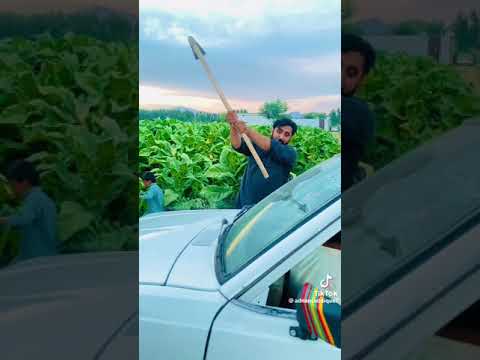 Adnan Khan New Video 2023 | Pashto New Funny 2023 | PK Vines