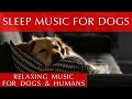 Relaxing Music For Dogs And Humans To Sleep To 432Hz Meditation Music