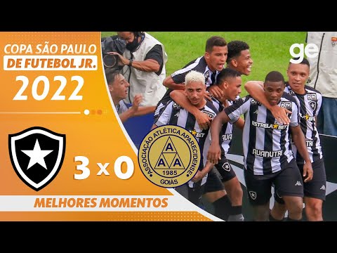 Gols e lances de Botafogo x Aparecidense