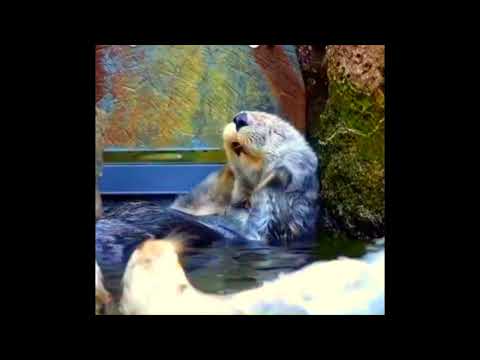 Supernova featuring Marley Munroe - Cant Stand It (Extended Mix)