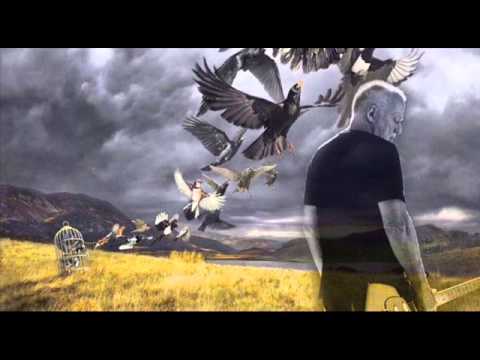 David Gilmour - Faces of stone