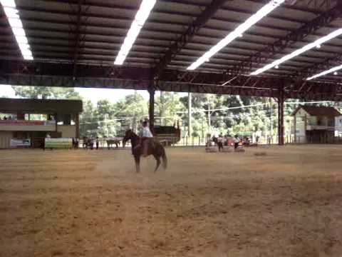 Bayard Sarmento Silvio Mello