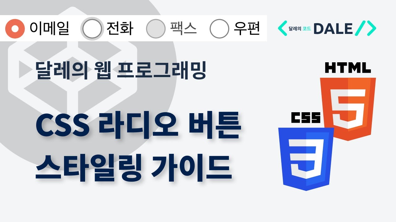 CSS 라디오 버튼 스타일링 가이드