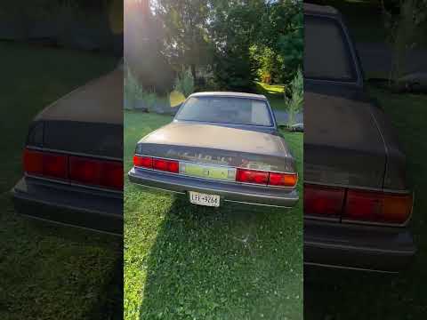 Thumbnail for IMG 3100 by Toyota, Toyota Century, Car