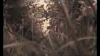 Charlotte Gainsbourg - Little Monsters.flv