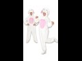 Hvidt Kanin kostume video