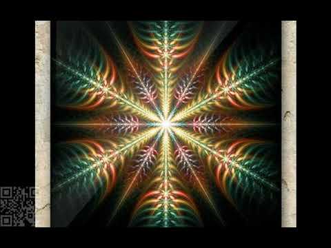 Progressive Shankra Festival Fungus Funk A Message To Sahnkra Festival 2018