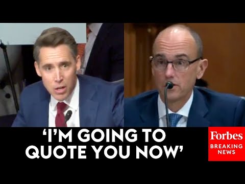 'It's Outrageous': Josh Hawley Grills McKinsey Executive About Their Work With China And The US DOD