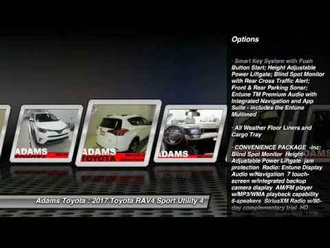 2017 Toyota RAV4 Lee's Summit MO 131597