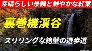 裏巻機渓谷(うらまきはたけいこく) 素晴らしい渓谷美と鮮やかな紅葉 断崖絶壁の縁を歩くスリリングな遊歩道 登山装備推奨 新潟県南魚沼市永松 裏巻機トレッキングコース 2023年11月5日