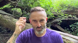 Ground, Clear and Alchemise!