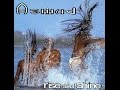 ASWAD - Warriors Charging