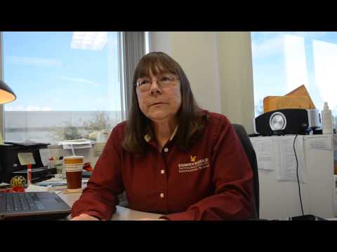 Flight Deck Automation