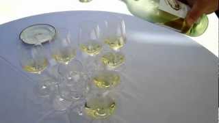 preview picture of video 'Wine Tour Bordeaux: A cool white Bordeaux wine for aperitif'