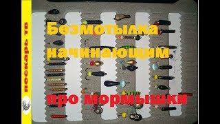 Чем отличается мормышка от безмотылки