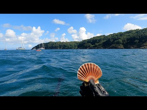 Sailing the Atlantic Loop - 02 Spearfishing and Foraging in Cornwall