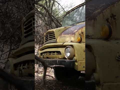 Thumbnail for Abandoned Ford Thames Trader by Thames Trader