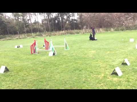 Nina og Fellah klubkonkurrence