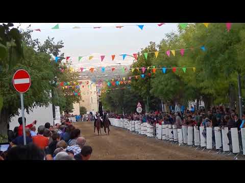 pariglie silanus 11.08.2017