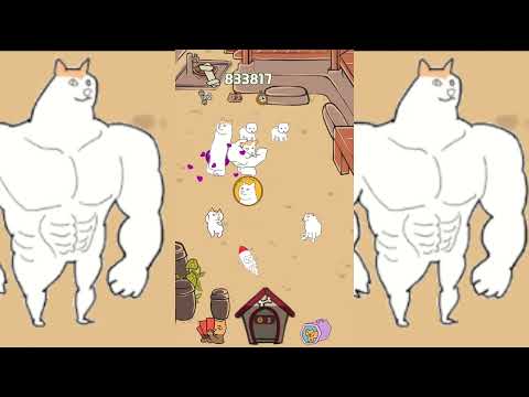 Shibe doge evolution