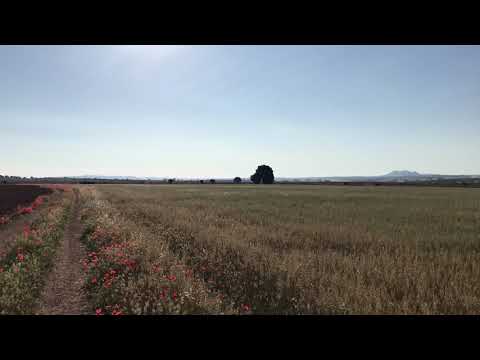 Camino de Levante Tag 6. 16.06.2018