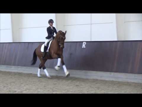 Valverde (Vitalis x Ampere)