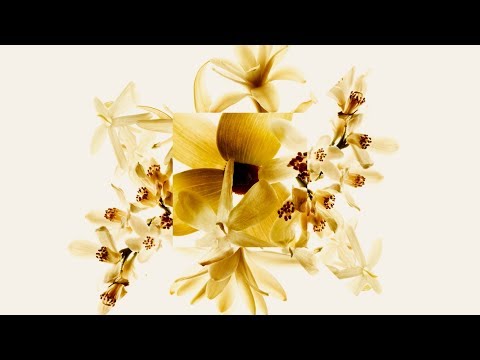 GABRIELLE CHANEL Behind The Scenes: the Flowers — CHANEL Fragrance