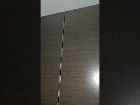 DoubleTree by Hilton - TO EXPENSIVE ESPECIALLY HAVING BUGA CRAWLING AROUND. - Image 2