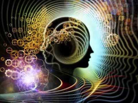 Oraculo 13 20 -- Aokigahara Forest