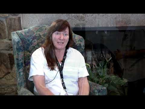 Keeping Automotive History Alive!