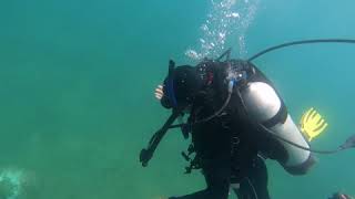preview picture of video 'Revisando los corales'