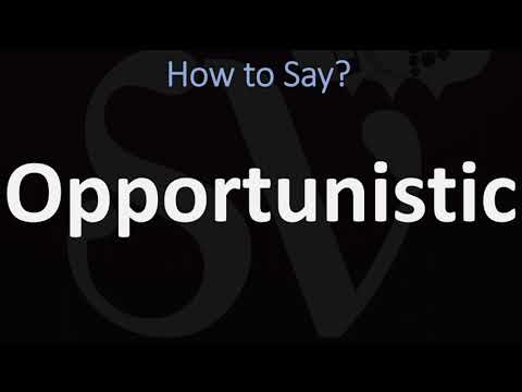 image-What is the best definition of opportunistic?