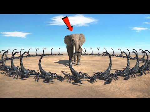 000222 Emperor Scorpion vs Every Unit - Animal Revolt Battle Simulator