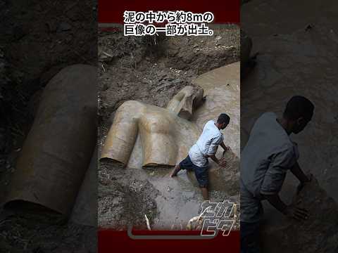 考古学的発見は驚くべきもの:パンデミックを引き起こす可能性がある