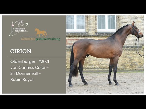 Cirion 02 05 2024 Impressionen unter dem Sattel