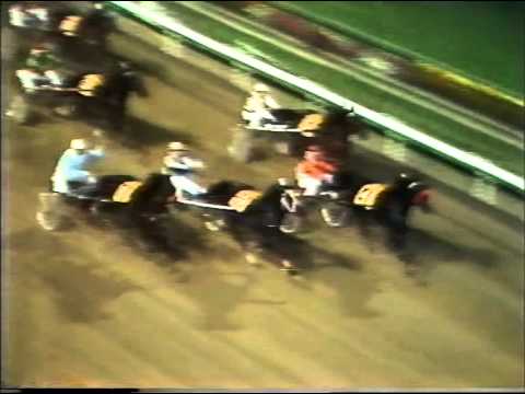 Harness Racing,Harold Park-18/03/1980  Inter-Dominion Heat-5 (Pure Steel-T.Demmler)