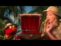 Sesame Street Episode 4526 Everyday Magic With Arizona Emily HBO Kids