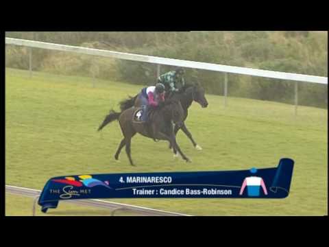 MS 20170119 MARINARESCO