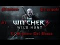 The Witcher 3 Wild Hunt ITA Le Signore Del Bosco Pt 1
