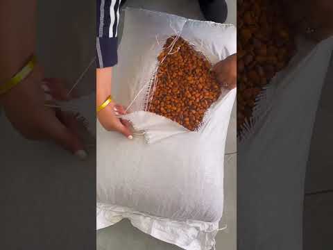 New Stock Alert! Large-Sized Open-Faced Pine Nuts 🌰 | Fresh, Crunchy & Premium#shorts